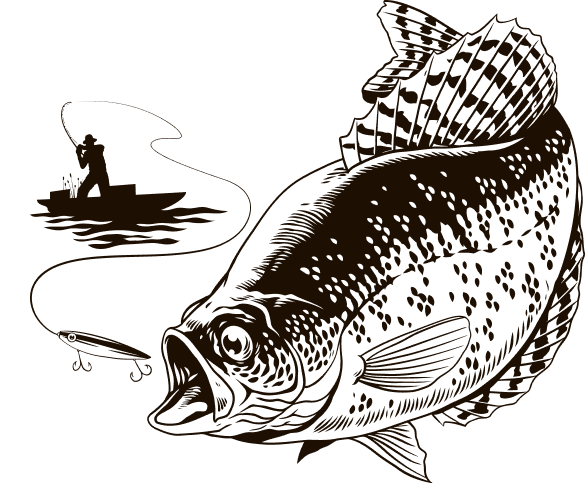 peche-carpe