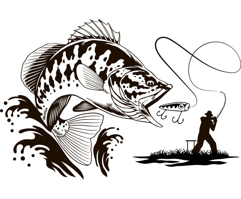 poisson-hd1