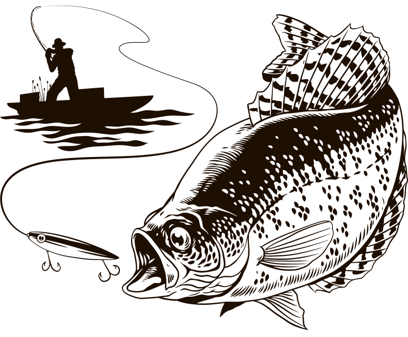 poisson-hd2