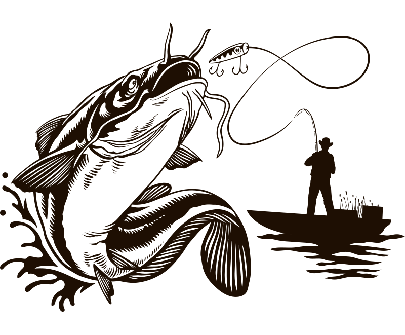 poisson-hd3