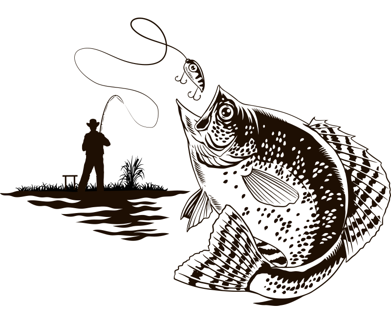 poisson-hd4